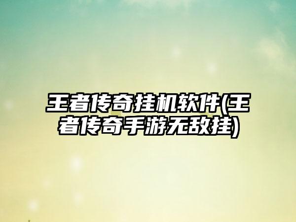 王者传奇挂机软件(王者传奇手游无敌挂)