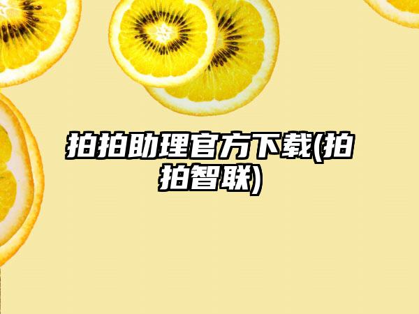 拍拍助理官方下载(拍拍智联)