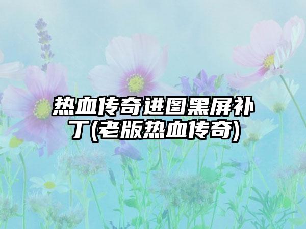 热血传奇进图黑屏补丁(老版热血传奇)
