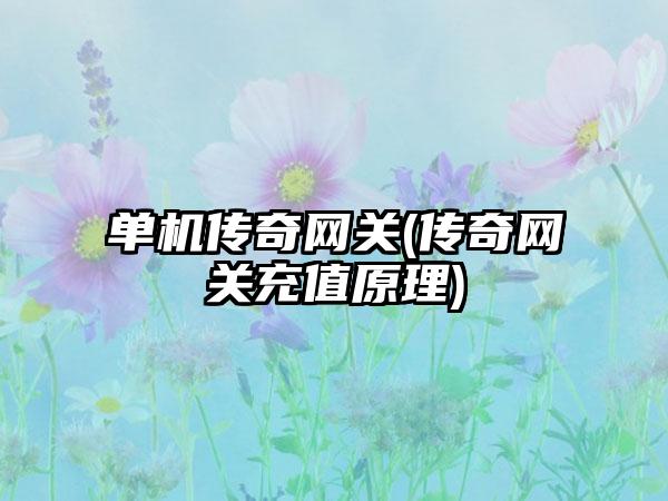 单机传奇网关(传奇网关充值原理)