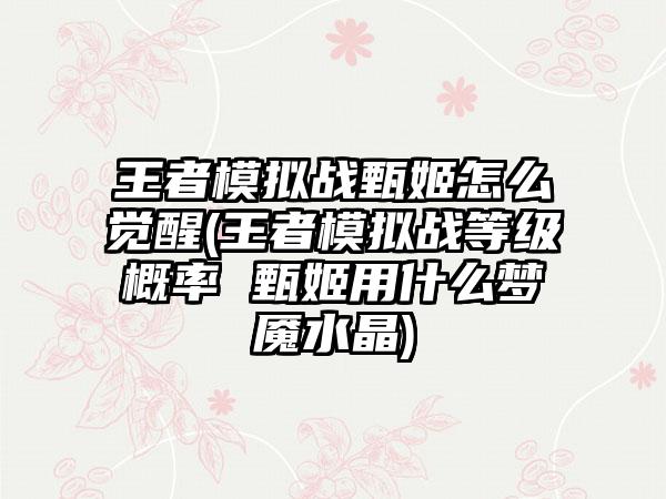 王者模拟战甄姬怎么觉醒(王者模拟战等级概率 甄姬用什么梦魇水晶)