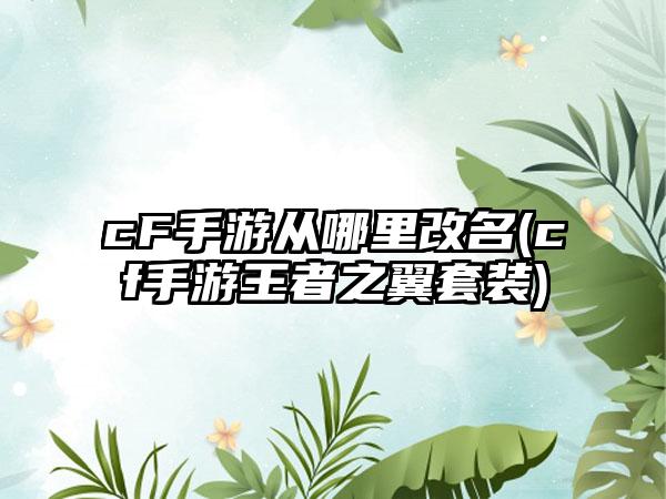 cF手游从哪里改名(cf手游王者之翼套装)