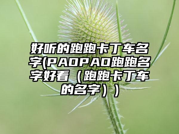 好听的跑跑卡丁车名字(PAOPAO跑跑名字好看（跑跑卡丁车的名字）)