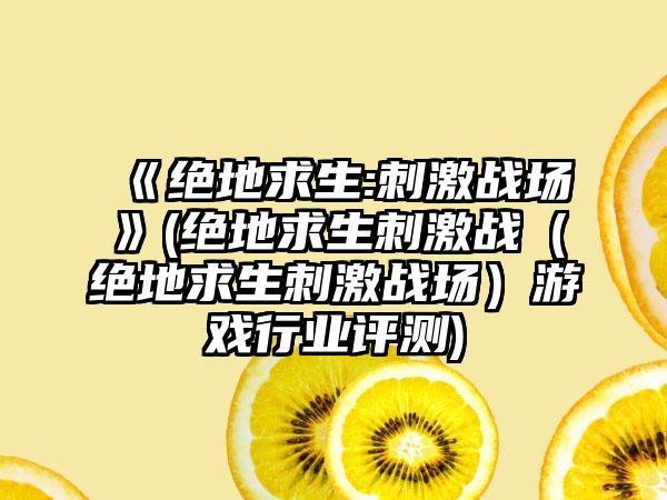 《绝地求生:刺激战场》(绝地求生刺激战（绝地求生刺激战场）游戏行业评测)