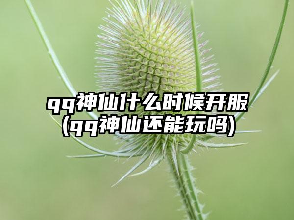qq神仙什么时候开服(qq神仙还能玩吗)