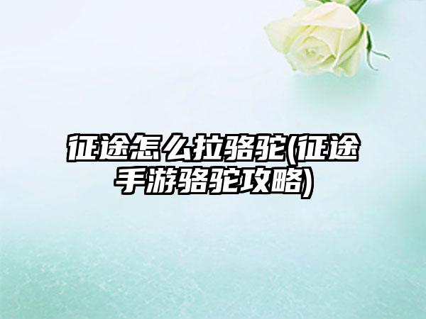 征途怎么拉骆驼(征途手游骆驼攻略)