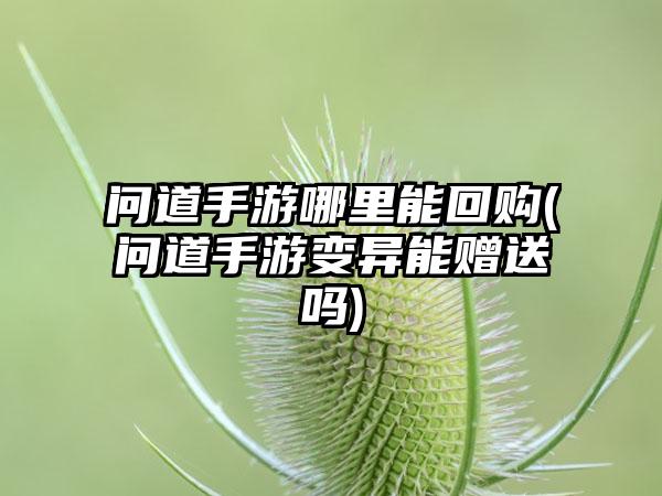 问道手游哪里能回购(问道手游变异能赠送吗)