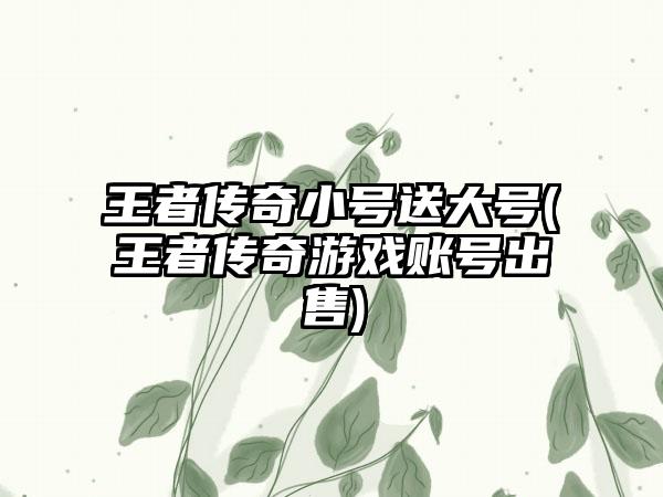 王者传奇小号送大号(王者传奇游戏账号出售)