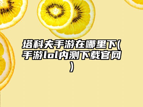 塔科夫手游在哪里下(手游lol内测下载官网)