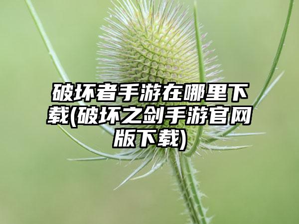 破坏者手游在哪里下载(破坏之剑手游官网版下载)