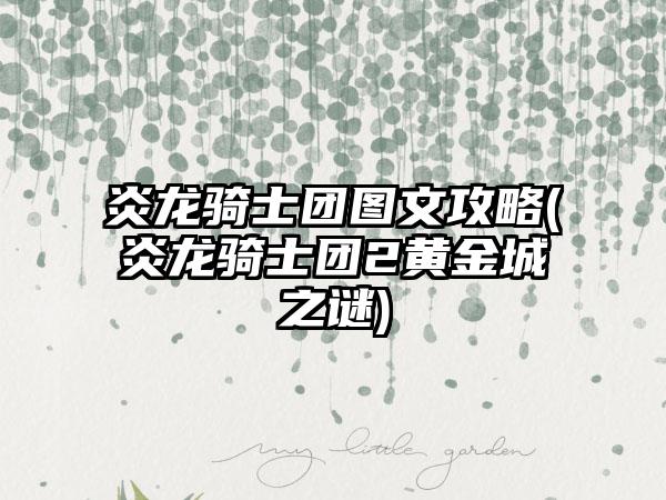 炎龙骑士团图文攻略(炎龙骑士团2黄金城之谜)