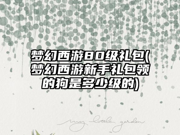 梦幻西游80级礼包(梦幻西游新手礼包领的狗是多少级的)