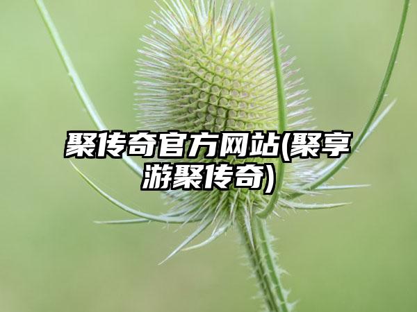 聚传奇官方网站(聚享游聚传奇)