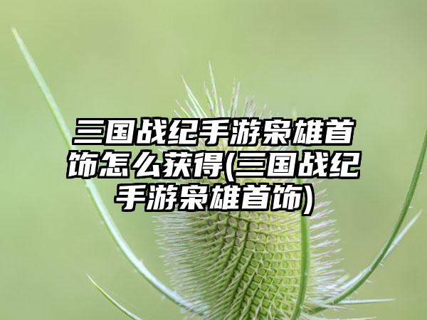 三国战纪手游枭雄首饰怎么获得(三国战纪手游枭雄首饰)