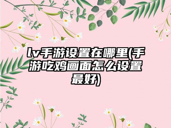 lv手游设置在哪里(手游吃鸡画面怎么设置最好)