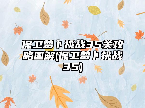 保卫萝卜挑战35关攻略图解(保卫萝卜挑战35)