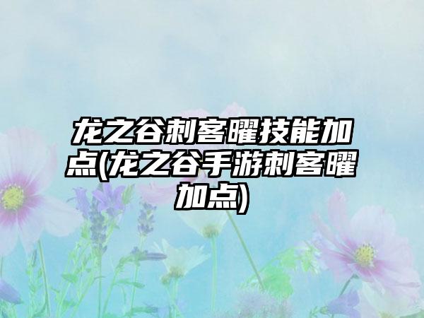 龙之谷刺客曜技能加点(龙之谷手游刺客曜加点)