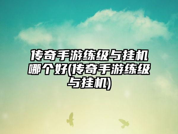 传奇手游练级与挂机哪个好(传奇手游练级与挂机)