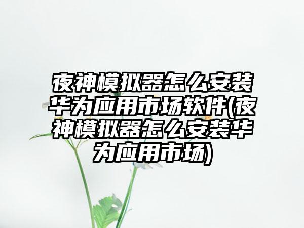 夜神模拟器怎么安装华为应用市场软件(夜神模拟器怎么安装华为应用市场)