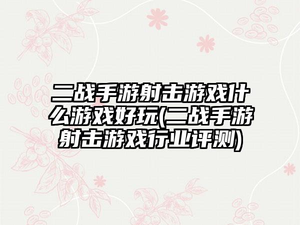 二战手游射击游戏什么游戏好玩(二战手游射击游戏行业评测)