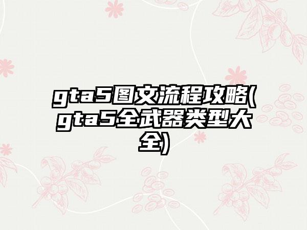gta5图文流程攻略(gta5全武器类型大全)