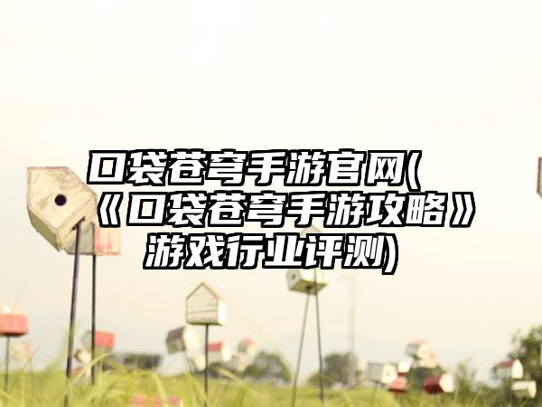 口袋苍穹手游官网(《口袋苍穹手游攻略》游戏行业评测)