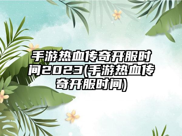 手游热血传奇开服时间2023(手游热血传奇开服时间)