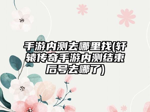手游内测去哪里找(轩辕传奇手游内测结束后号去哪了)