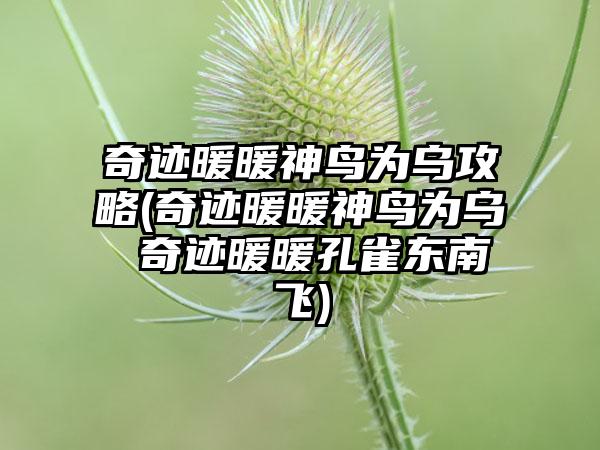 奇迹暖暖神鸟为乌攻略(奇迹暖暖神鸟为乌 奇迹暖暖孔雀东南飞)