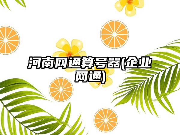 河南网通算号器(企业网通)