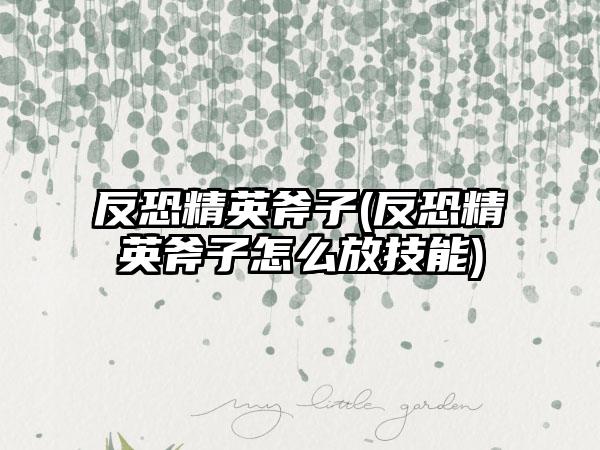 反恐精英斧子(反恐精英斧子怎么放技能)