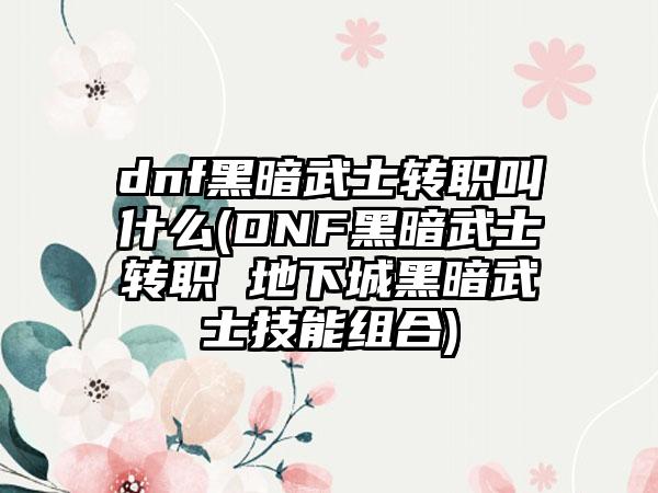 dnf黑暗武士转职叫什么(DNF黑暗武士转职 地下城黑暗武士技能组合)