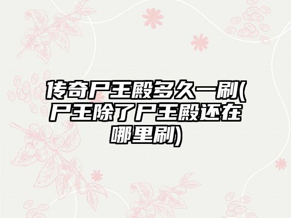 传奇尸王殿多久一刷(尸王除了尸王殿还在哪里刷)