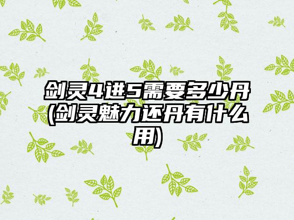 剑灵4进5需要多少丹(剑灵魅力还丹有什么用)