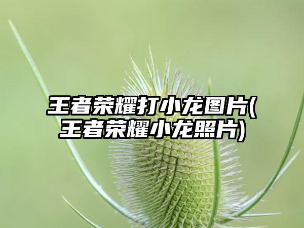 王者荣耀打小龙图片(王者荣耀小龙照片)