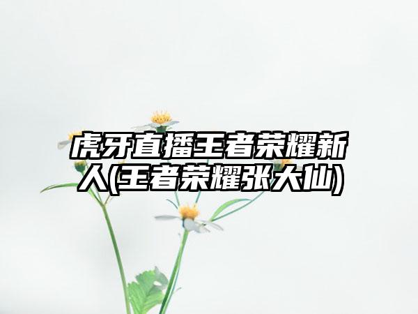 虎牙直播王者荣耀新人(王者荣耀张大仙)