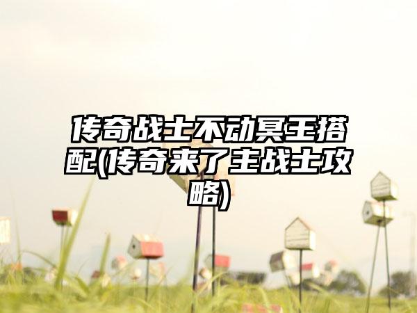 传奇战士不动冥王搭配(传奇来了主战士攻略)