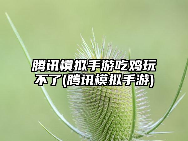 腾讯模拟手游吃鸡玩不了(腾讯模拟手游)