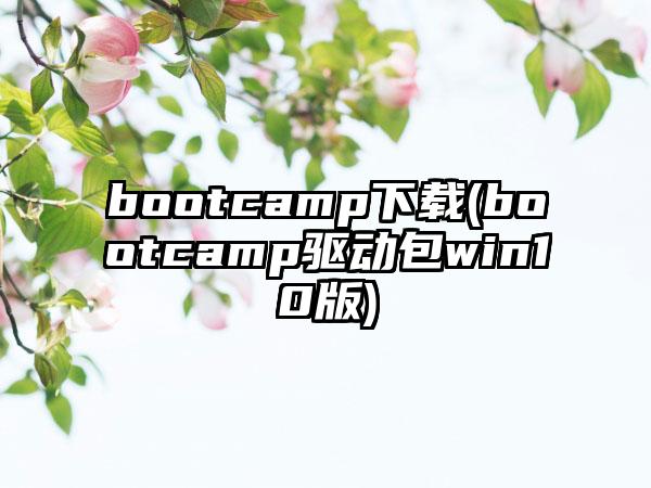bootcamp下载(bootcamp驱动包win10版)