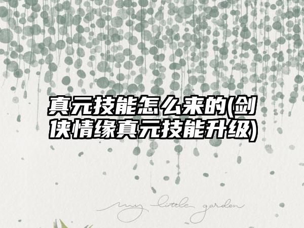 真元技能怎么来的(剑侠情缘真元技能升级)
