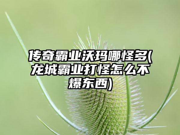 传奇霸业沃玛哪怪多(龙城霸业打怪怎么不爆东西)