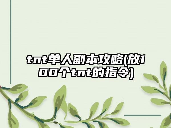 tnt单人副本攻略(放100个tnt的指令)