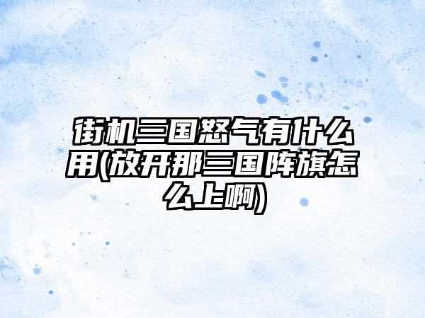 街机三国怒气有什么用(放开那三国阵旗怎么上啊)