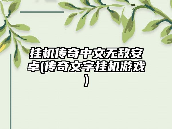 挂机传奇中文无敌安卓(传奇文字挂机游戏)