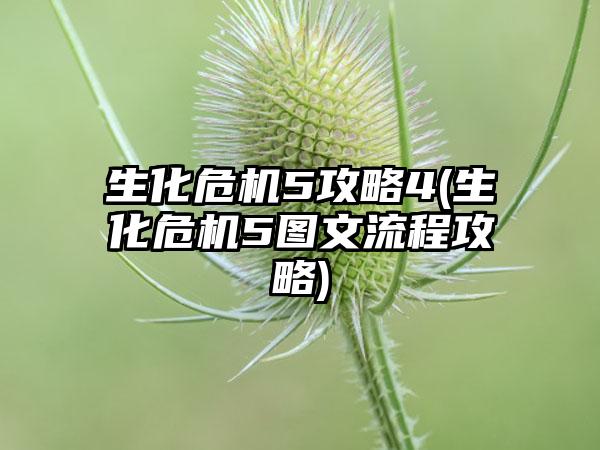 生化危机5攻略4(生化危机5图文流程攻略)