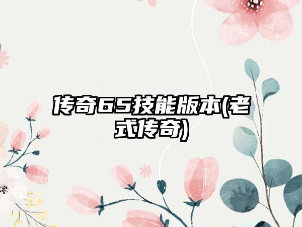 传奇65技能版本(老式传奇)