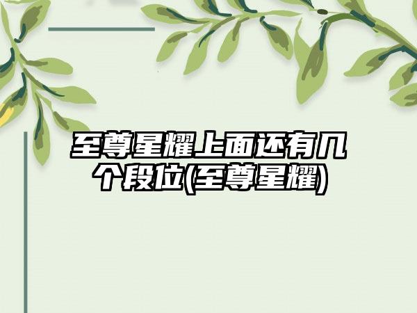 至尊星耀上面还有几个段位(至尊星耀)