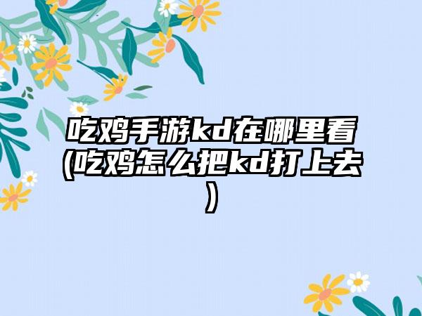 吃鸡手游kd在哪里看(吃鸡怎么把kd打上去)