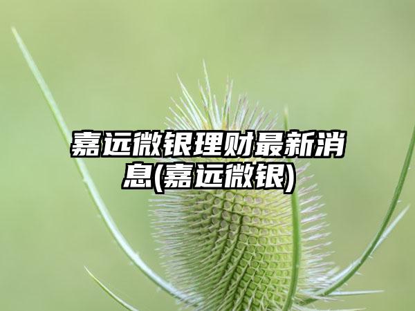 嘉远微银理财最新消息(嘉远微银)