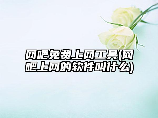 网吧免费上网工具(网吧上网的软件叫什么)